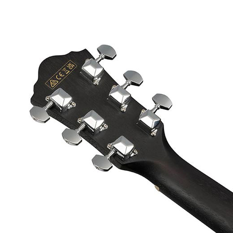 Ibanez VC44CE WK